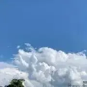 ななの画像