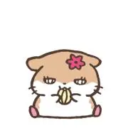 ｒａｒａ　プロフ必読m(__)mの画像