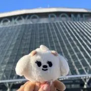 まめの画像