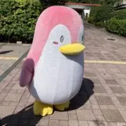 ごきげんぱんだ