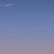 かに　プロフィールcheckの画像