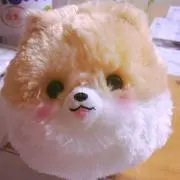 ひよりの画像