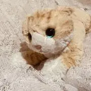 あげぱん (プロフ必読お願いします♪)の画像