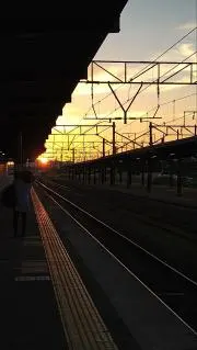 たあの画像