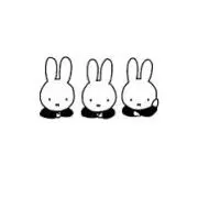 ここ