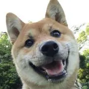 さらの画像