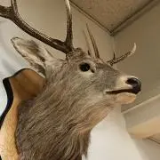 くに