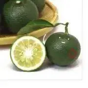 kabosu