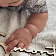toriでこの画像