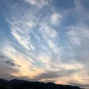 yuの画像