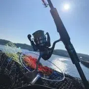 Ryuの画像