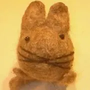Chesire cat