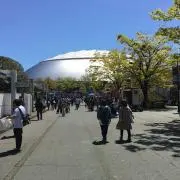 てん