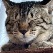 あいの画像