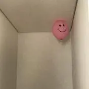 きのこの画像