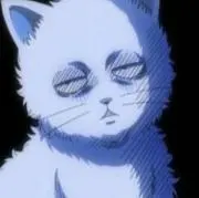 ギン猫の画像