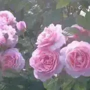 kaho♡自宅&実家断捨離中で短期間出品