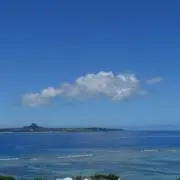 MHの画像