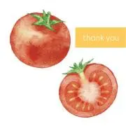 tomatoの画像