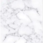 檸檬の画像