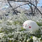 Mokaの画像