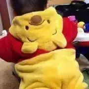PGの画像