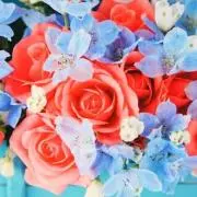 Vintage_Plazaの画像