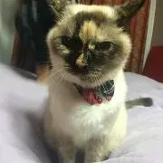 erの画像