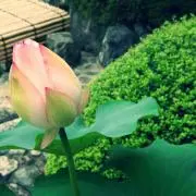 ☆空色☆(プロフ読んで下さい)の画像