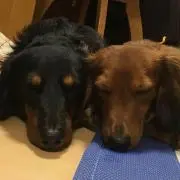 まーさん