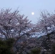 あけみ358の画像