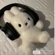 ⭐︎の画像