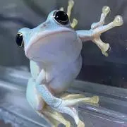 しずくさんの画像
