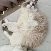 Doppelgänger※プロフご一読