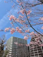 みまる◉24時間以内発送の画像
