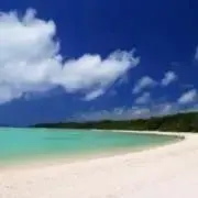 paocheck1 【海外正規買付】の画像