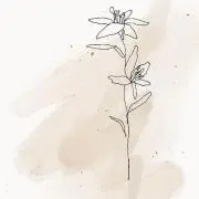 yu⌇断捨離中の画像