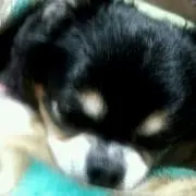 にくにく