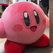 CRARの画像