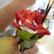 りゅうの画像