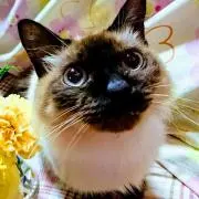 haruちゃん
