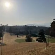 しょうの画像