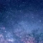 Blue Flowerの画像