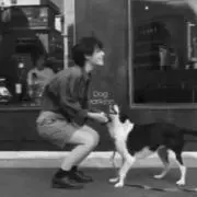 葵の画像