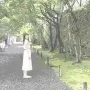 ぽんちゃんの画像