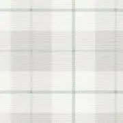 Nの画像