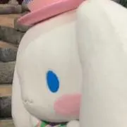 りんごの画像