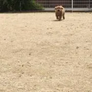 める