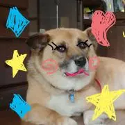 ターコイズ