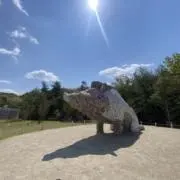 ミズカマキリ太郎の画像